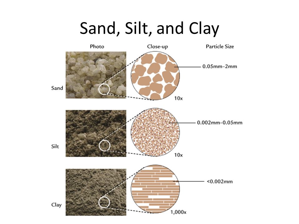 Clay Soil Vs Sandy Soil